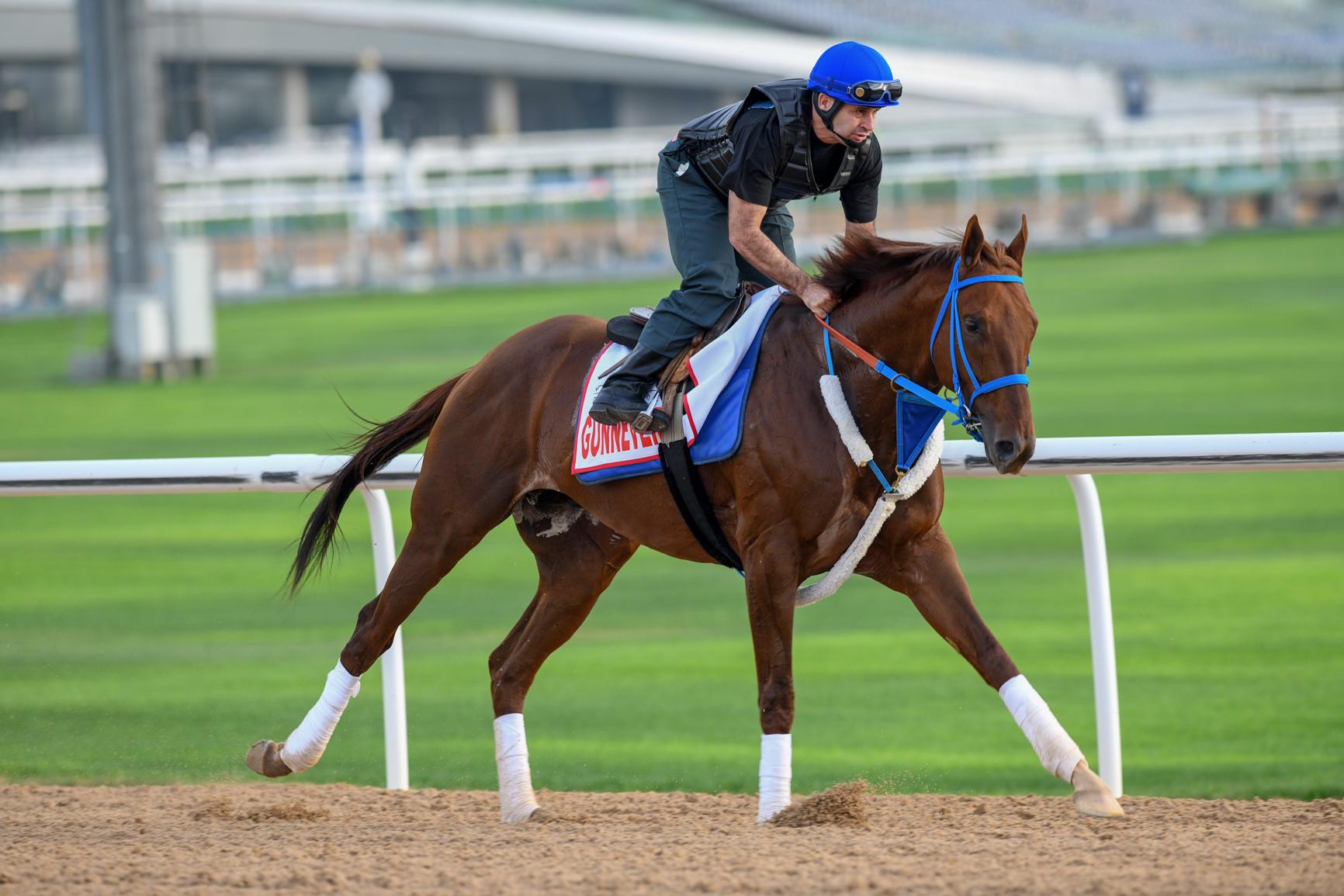 Gunnevera